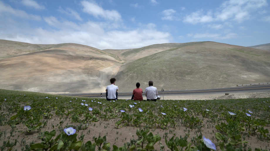 Andenlandschaft