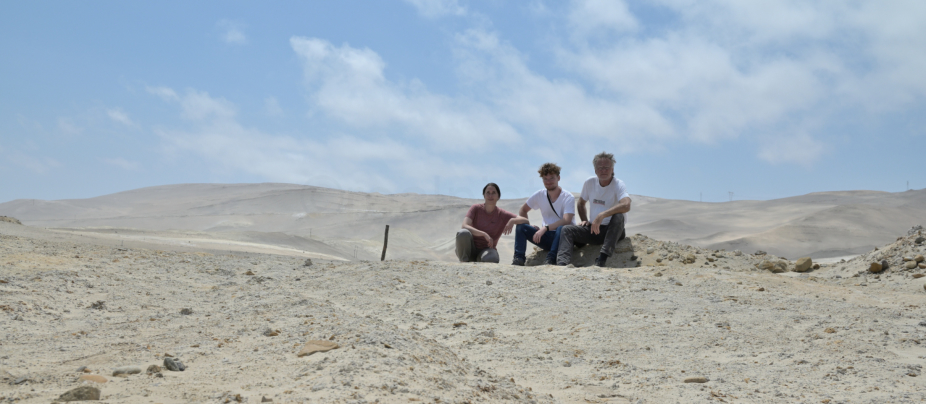 In der Atacama