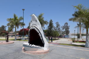 Megalodon